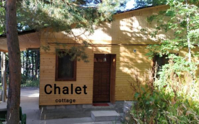 CHALET cottage Tsaghkadzor
